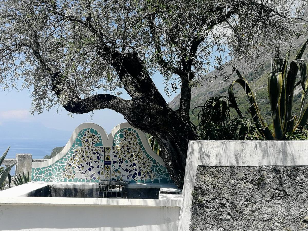 Villa Venezuela 1° Piano Maratea Eksteriør bilde
