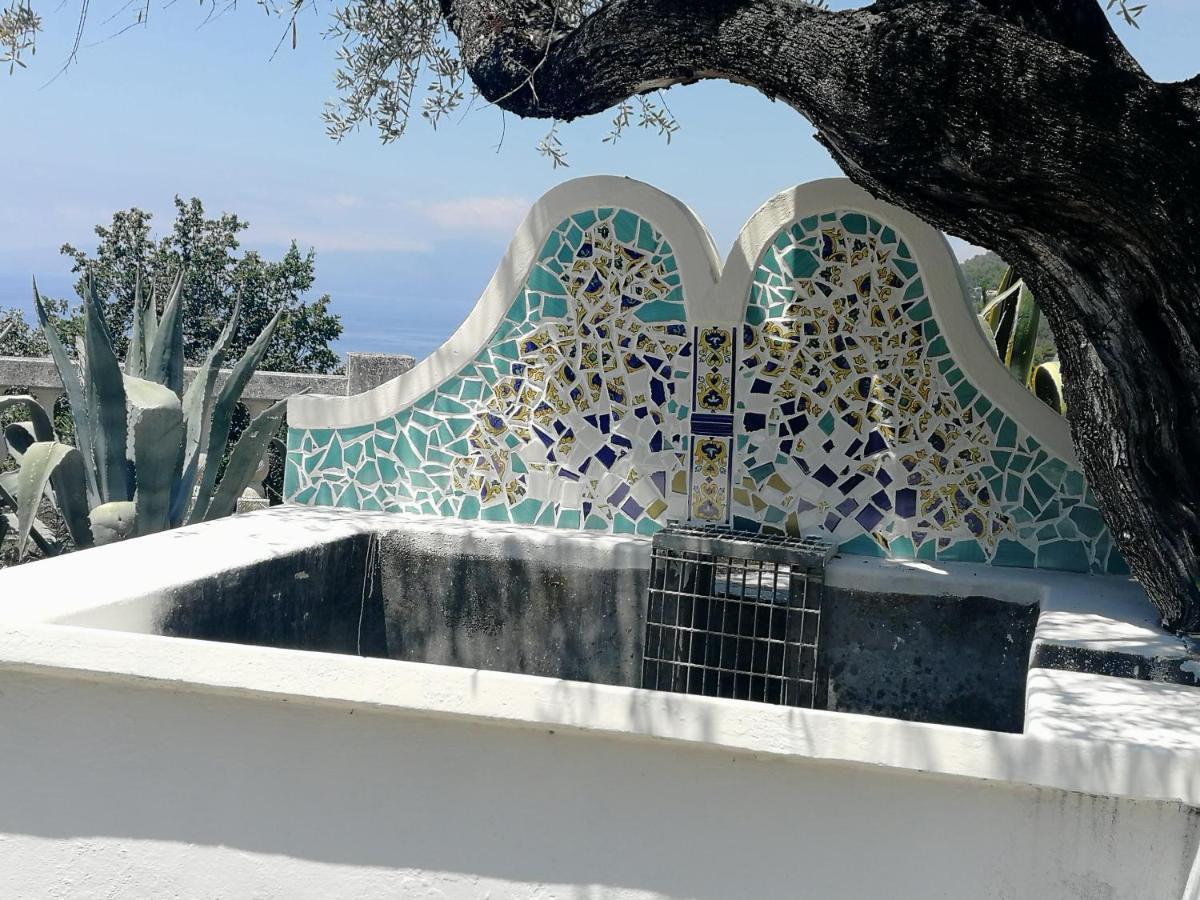Villa Venezuela 1° Piano Maratea Eksteriør bilde